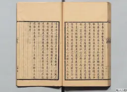 心史 冊二 第 115 叶