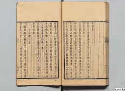 心史 冊二 第 116 叶