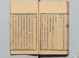 心史 冊二 第 117 叶