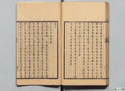 心史 冊二 第 119 叶