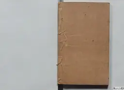 心史 冊二 第 125 叶